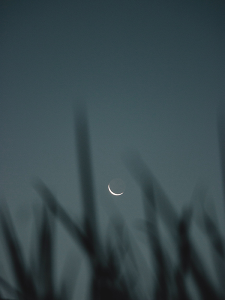 Cresent moon_600x450px
