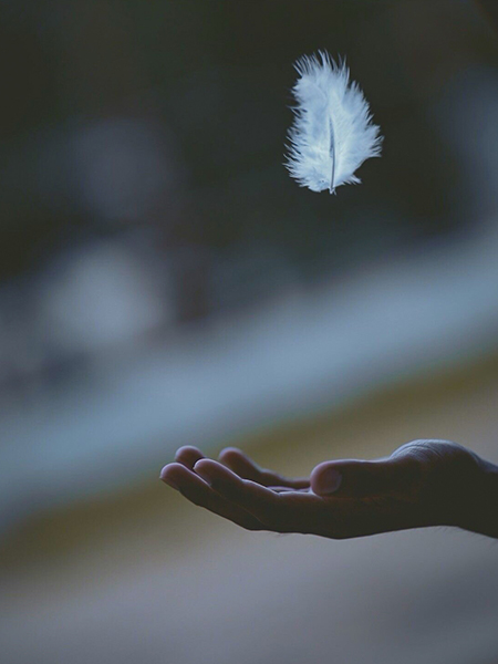Feather_600x450px